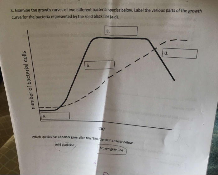 Solved 3. Examine the growth curves of two different | Chegg.com