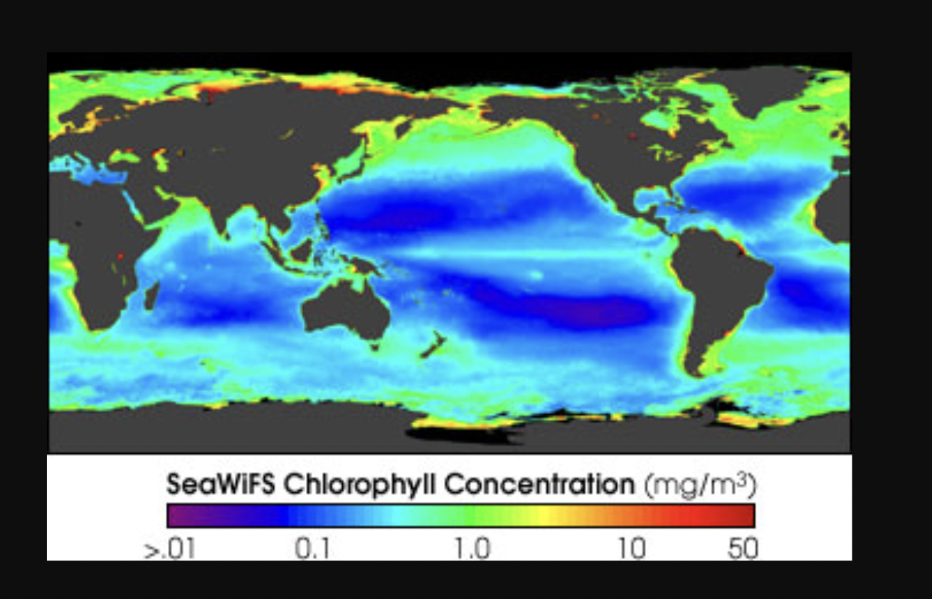 Solved Examine The Image Of Ocean Chlorophyll Data (complete | Chegg.com