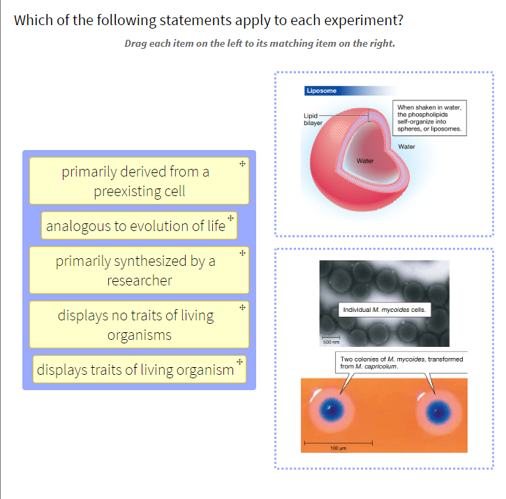 Solved Which of the following statements apply to each | Chegg.com