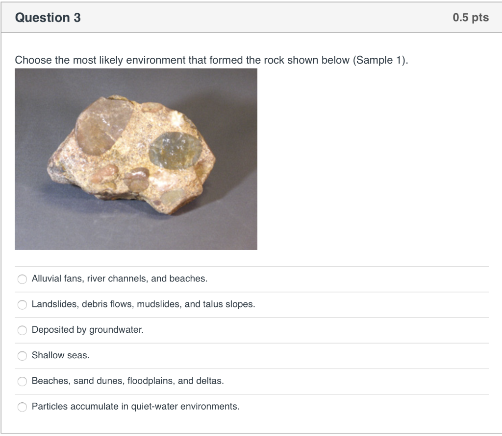Solved Question 2 1 pts Choose the name of the rock shown | Chegg.com