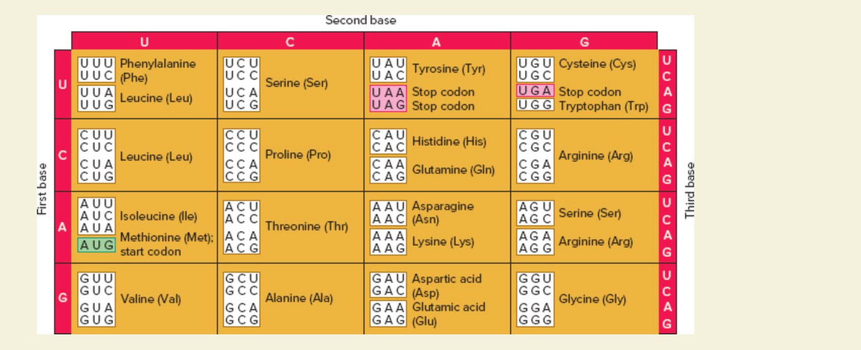 Solved The code and wobble rules for tRNAmRNA