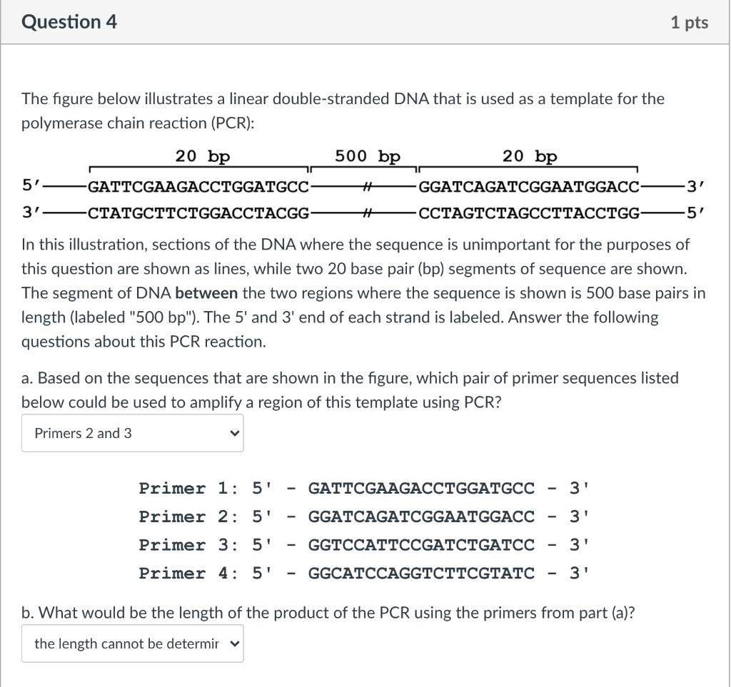 primers pcr