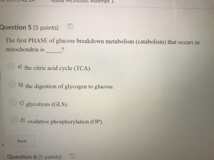 Solved Question 5 (5 points) The first PHASE of glucose | Chegg.com
