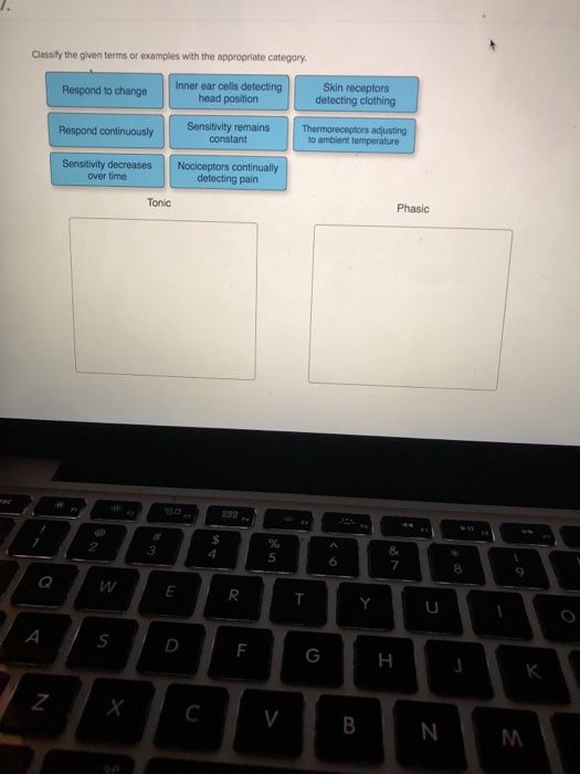 Solved Classify The Given Terms Or Examples With The | Chegg.com