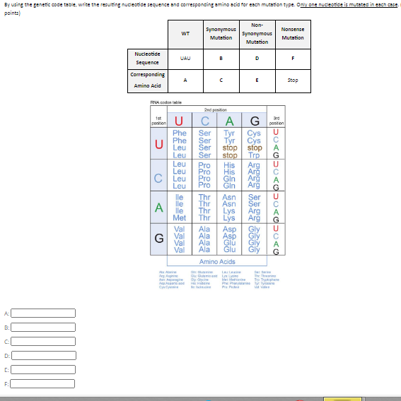 Solved By using the genetic code table, write the resulting | Chegg.com