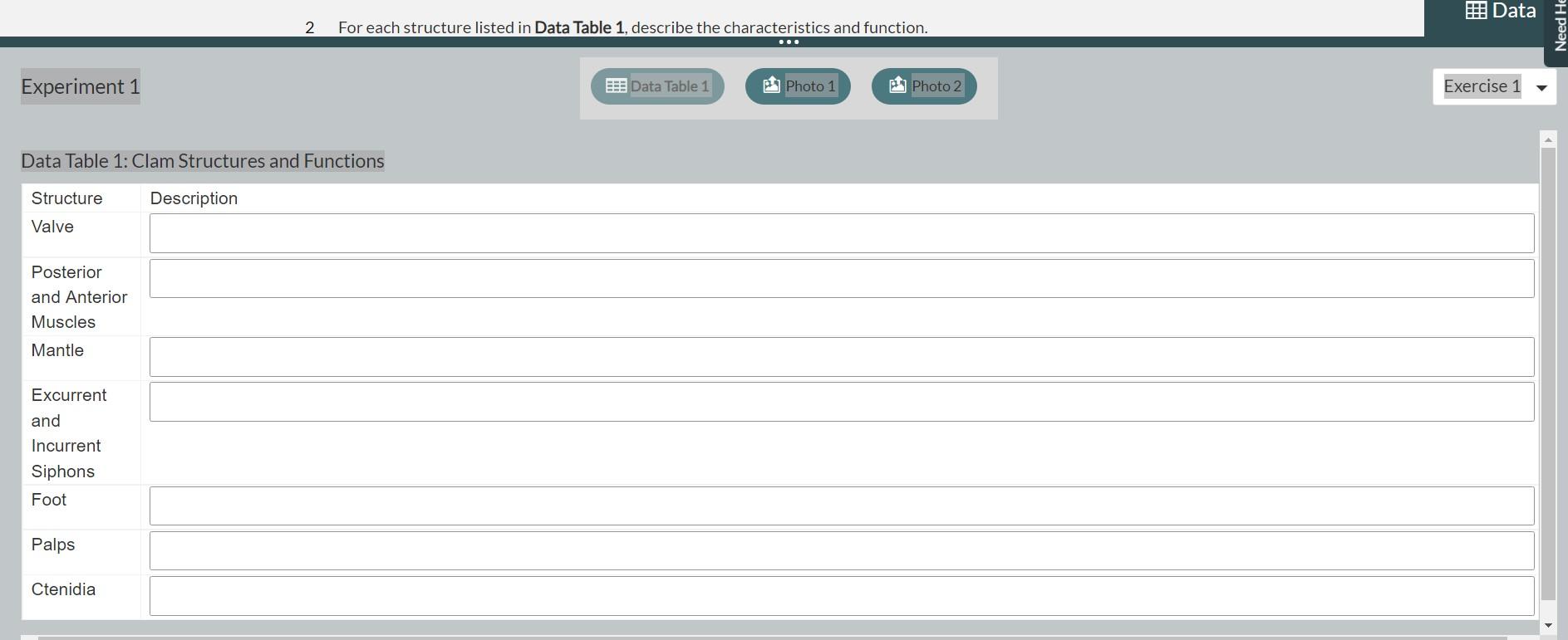 Solved 2 For each structure listed in Data Table 1, describe | Chegg.com