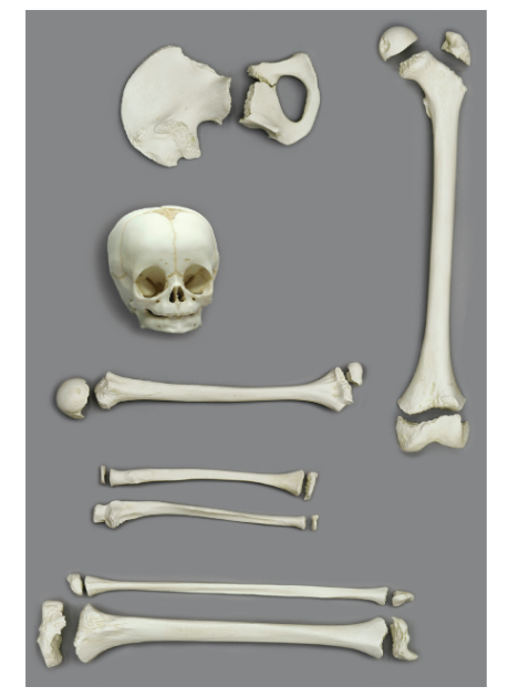 Solved Of the following, select all