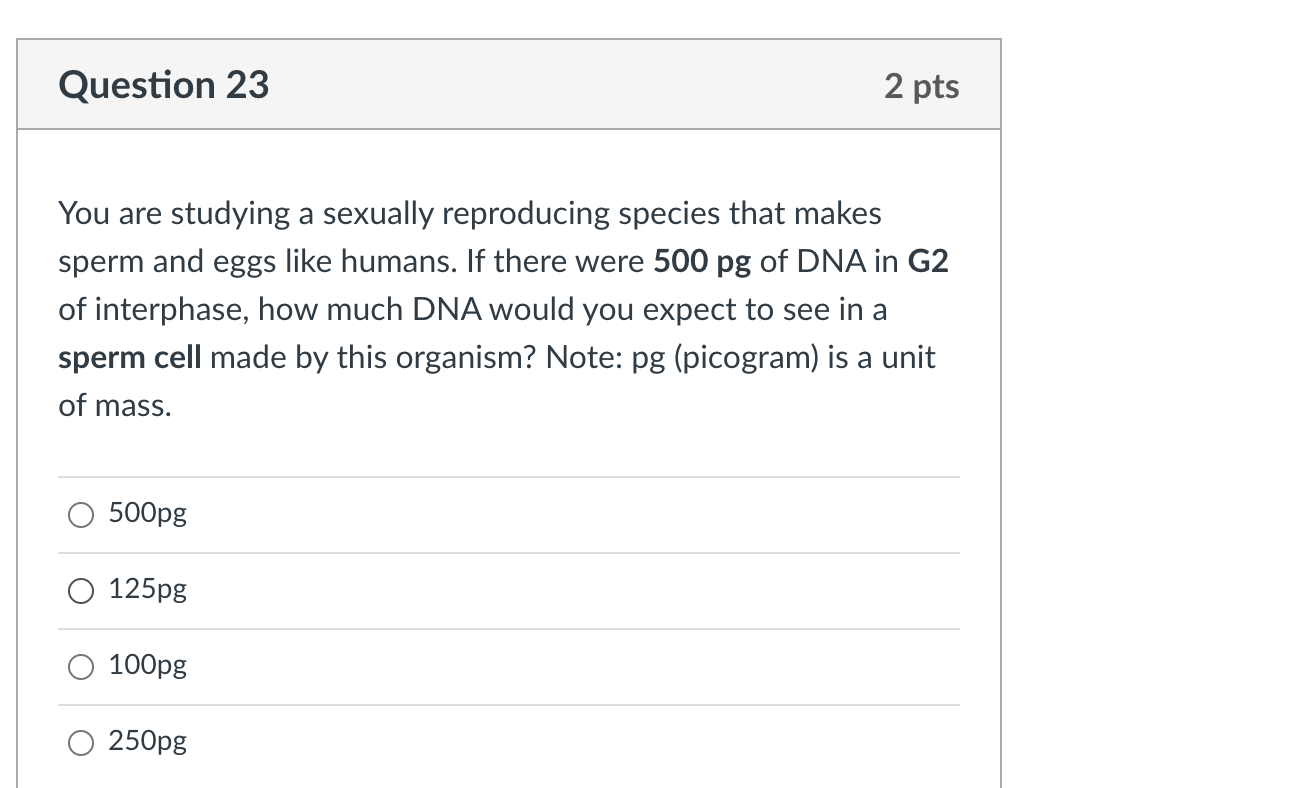 Solved Question 22 2 pts DNA is synthesized O during | Chegg.com