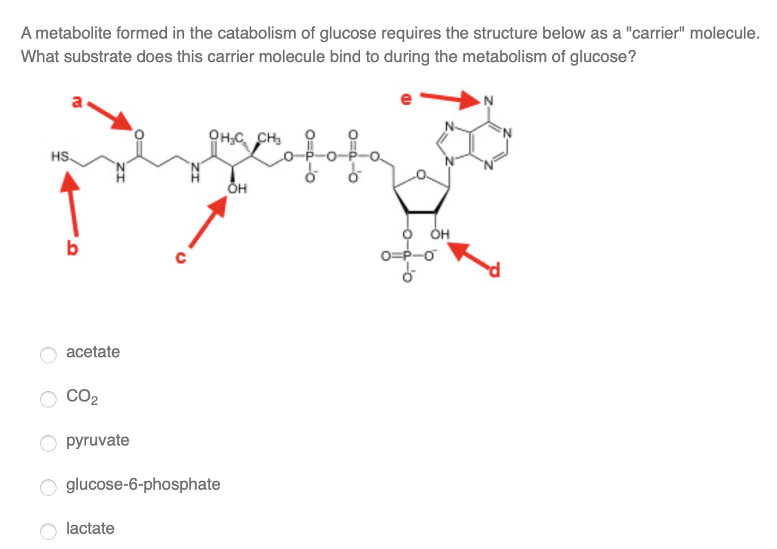 Solved A Metabolite Formed In The Catabolism Of Glucose 