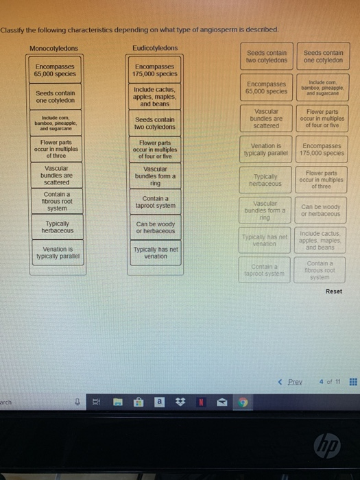 solved-classify-the-following-characteristics-depending-on-chegg