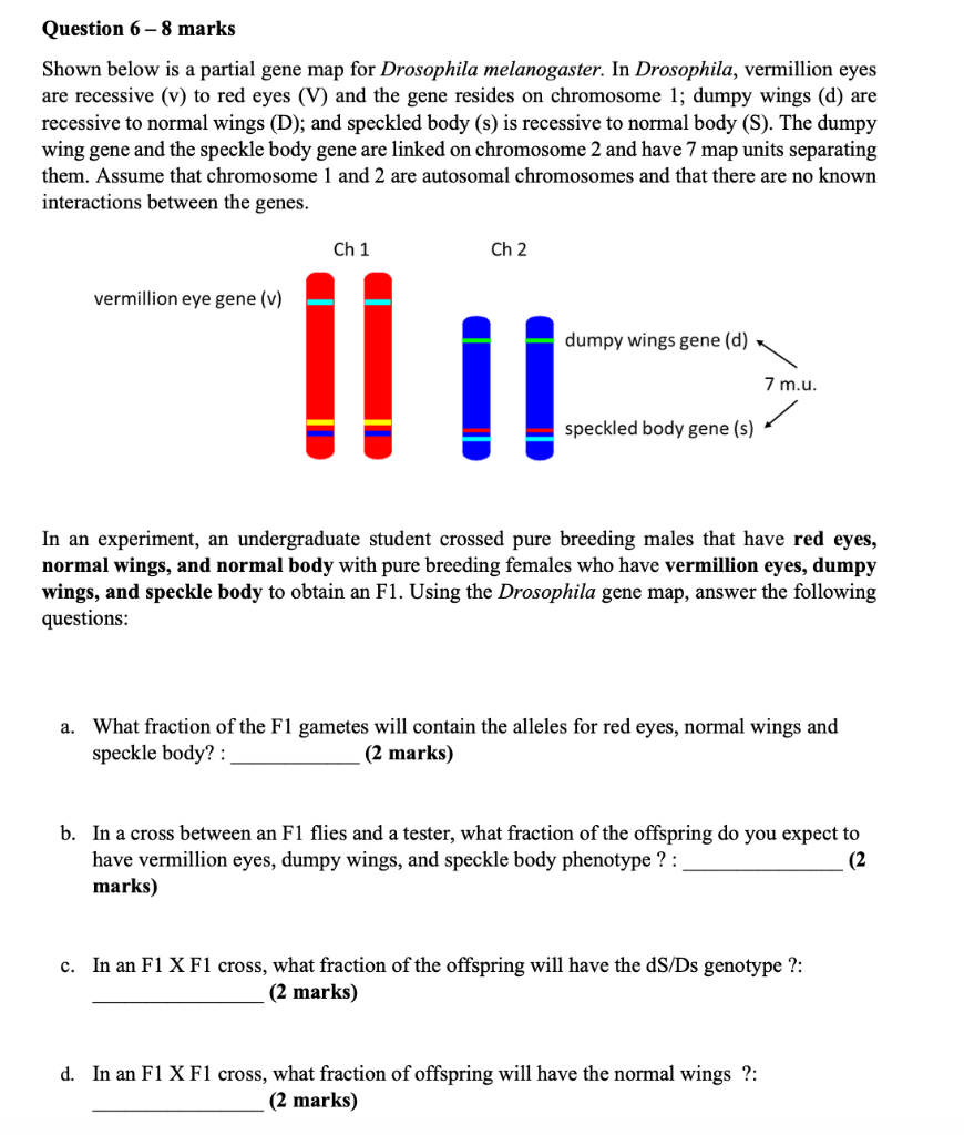 Solved Question 6-8 Marks Shown Below Is A Partial Gene Map 