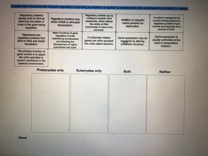 Solved Classify Each Characteristic Of Gene Regulation | Chegg.com