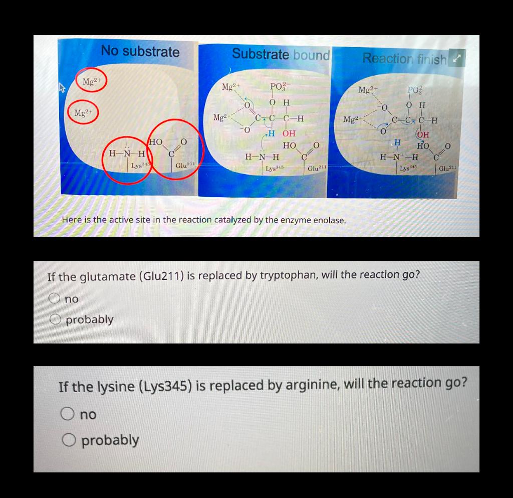 Solved Here is the active site in the reaction catalyzed by | Chegg.com