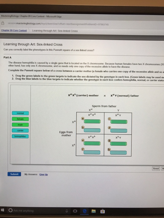 Solved Masteringbiology Chapter 09 Core Content Microsoft