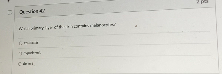 Solved 2 pts Question 42 Which primary layer of the skin | Chegg.com