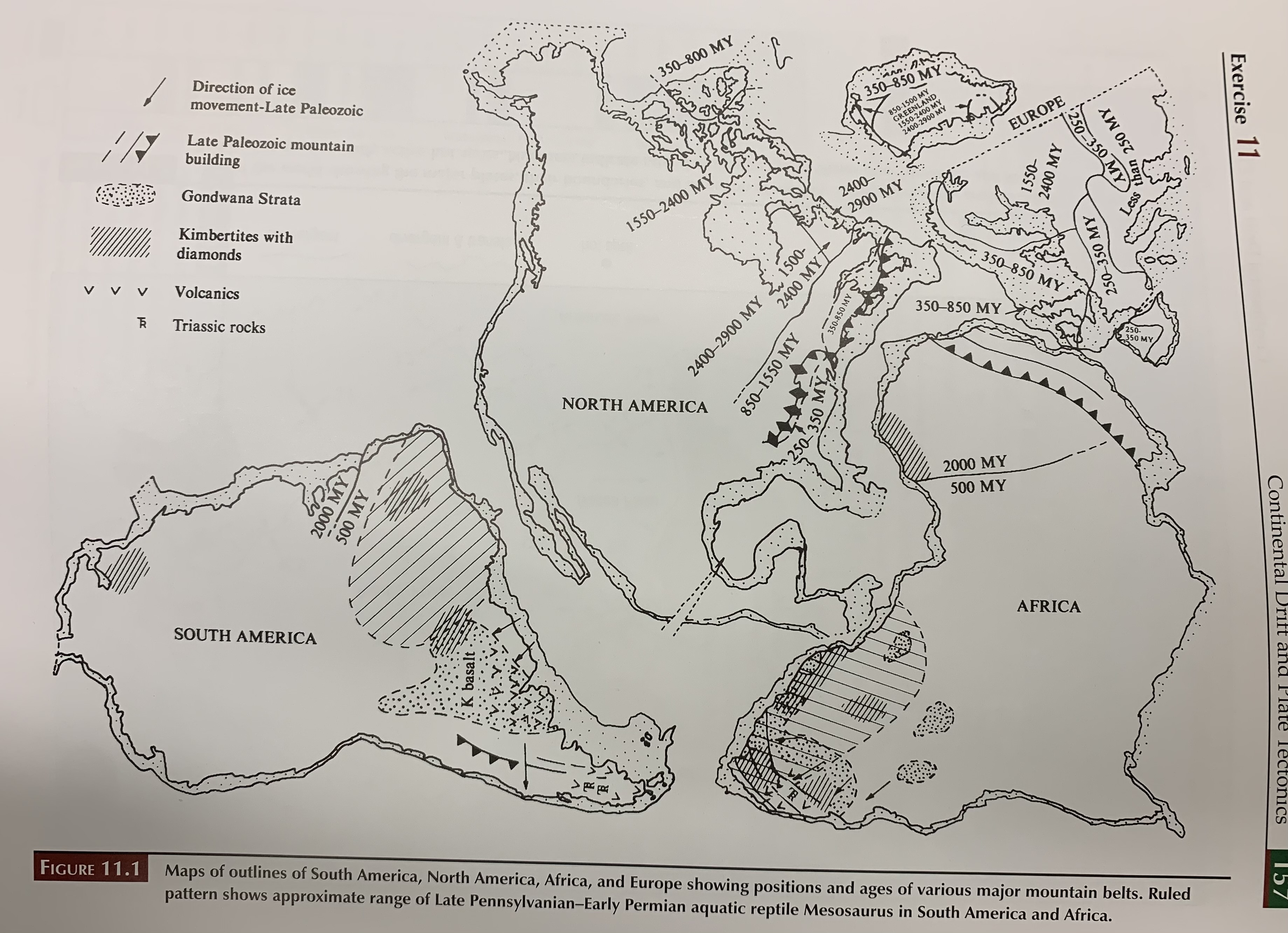 Solved Evidence of Continental DriftOutline maps of South | Chegg.com