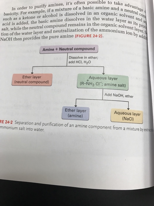 Solved ossible amines, it's often take advanta order purify