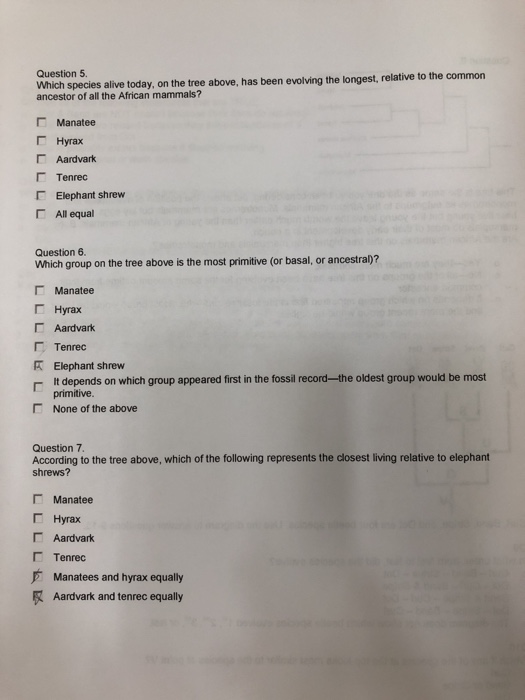 Solved Homework- Biology 2010 Tree thinking exercise Recent | Chegg.com