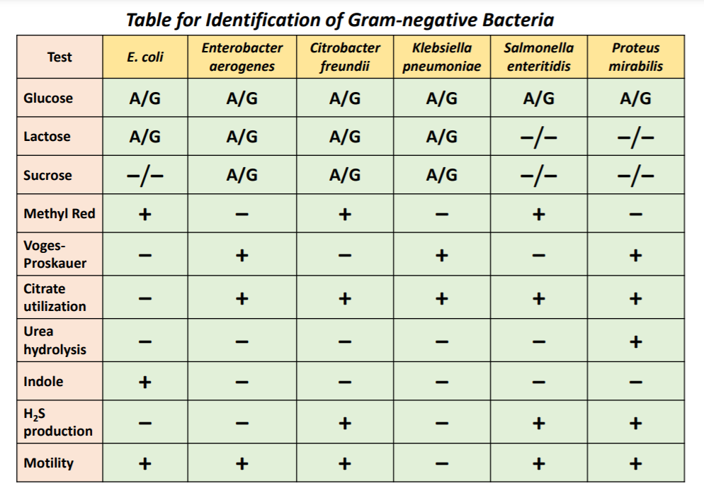 Solved Identification of the Gramnegative Isolate SIM Agar