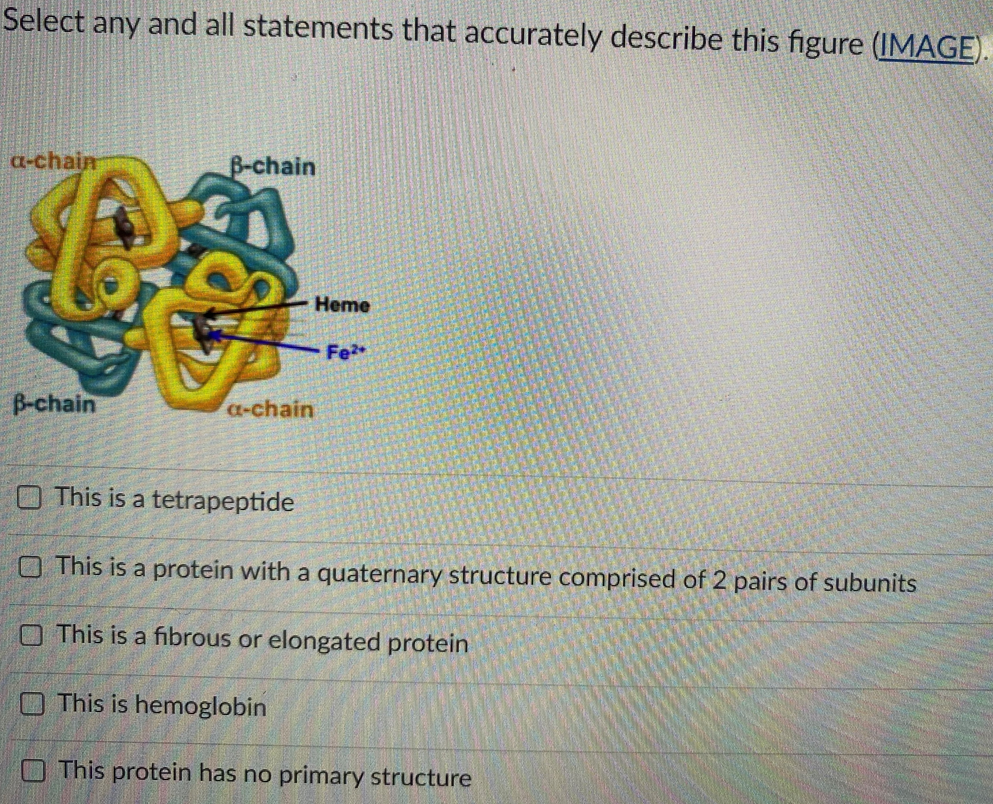 solved-how-are-these-two-molecules-image-which-are-chegg