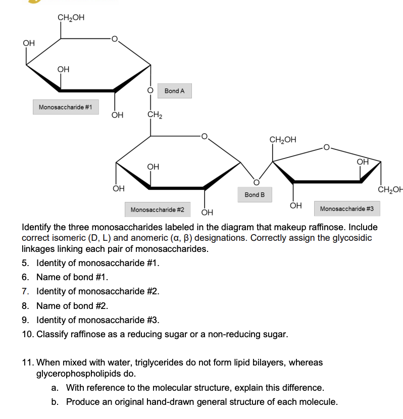 Monosaccharide Diagram