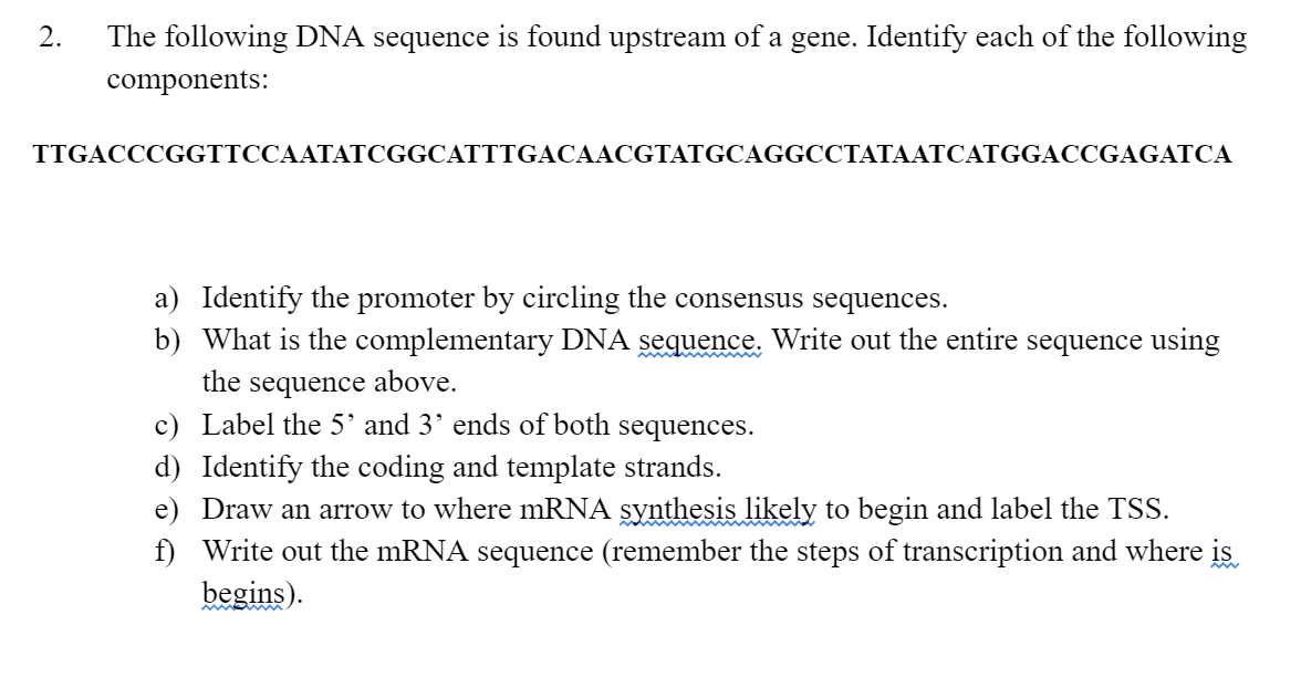 Solved The following DNA sequence is found upstream of a | Chegg.com