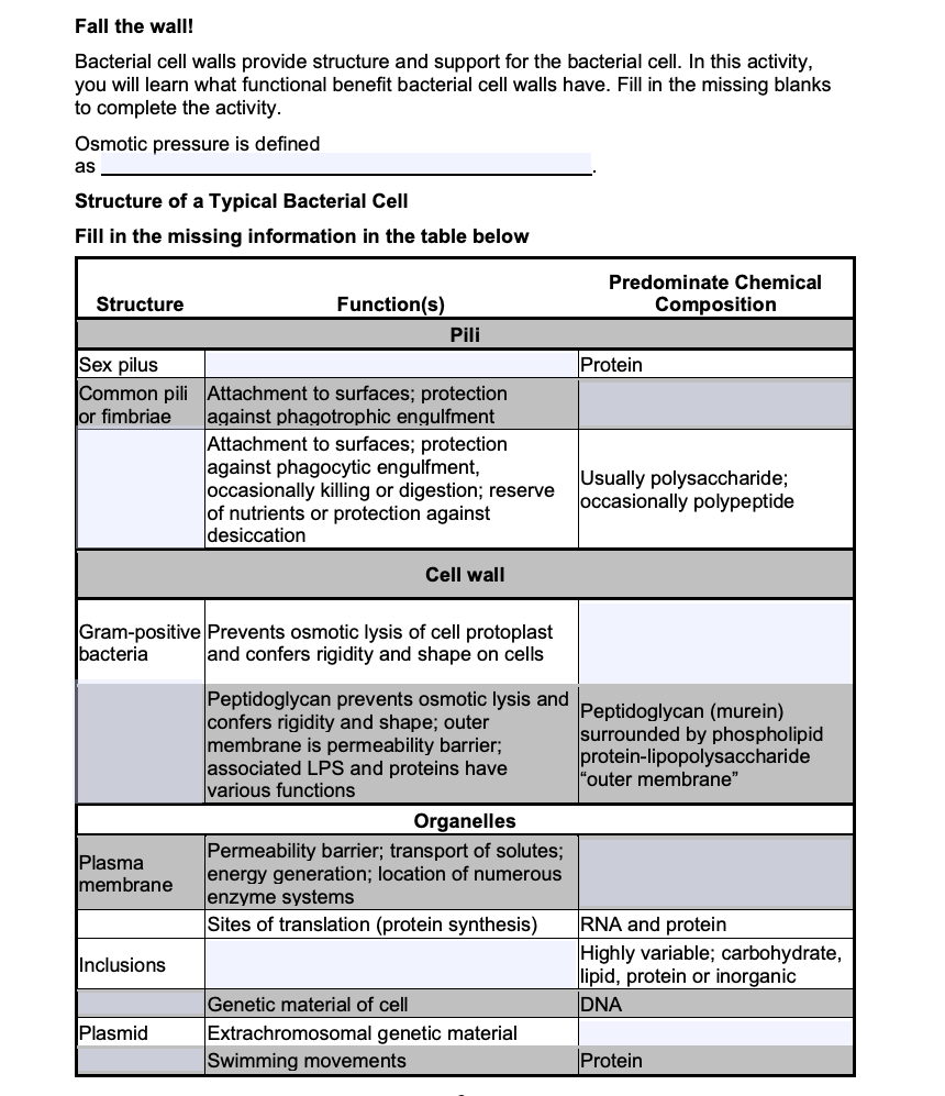 Fall the wall! Bacterial cell walls provide structure