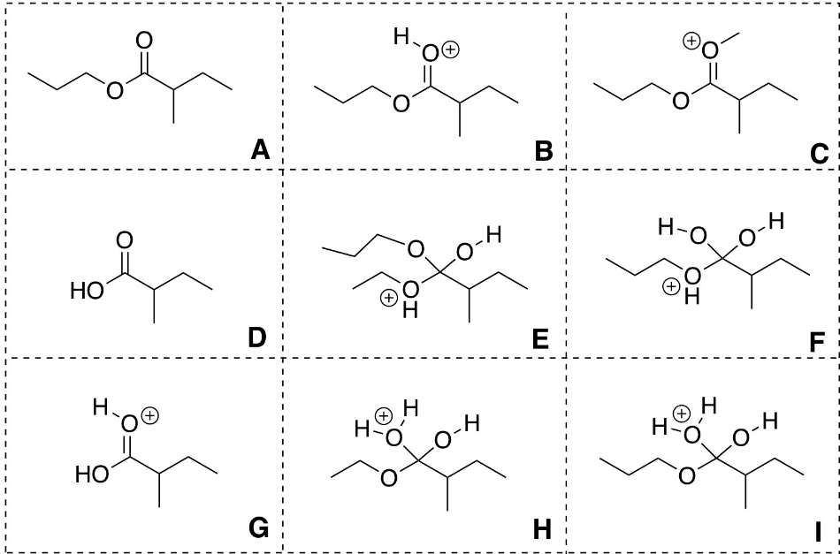 R Na B D G R N R Nconsider The Following Reaction