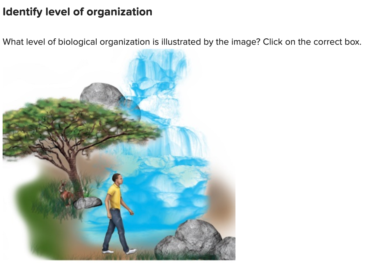Solved Identify level of organization What level of | Chegg.com