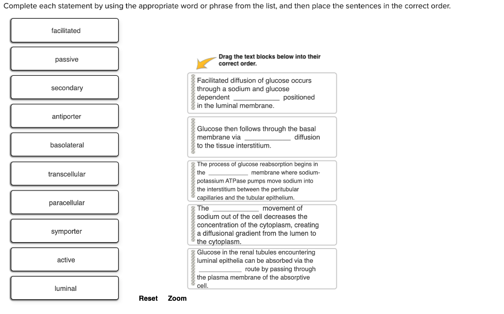 Solved Complete each statement by using the appropriate word | Chegg.com