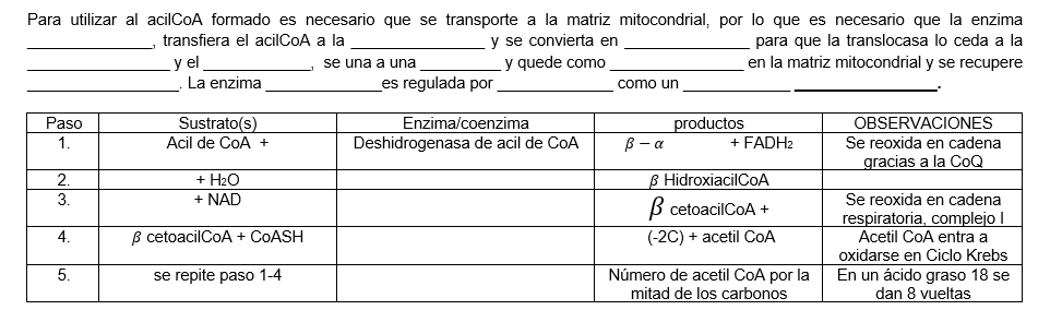 Para utilizar al acilCoA formado es necesario que se transporte a la matriz mitocondrial, por lo que es necesario que la enzi