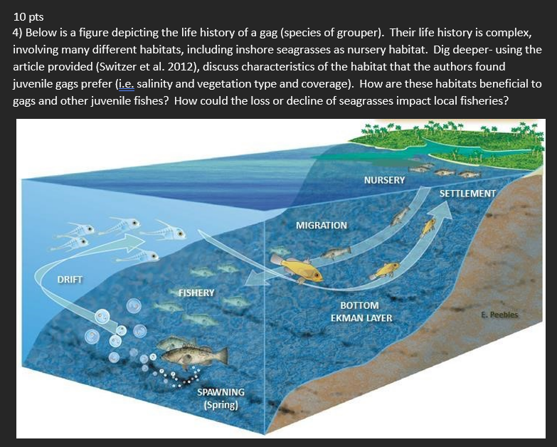 Solved 10 pts 4) Below is a figure depicting the life | Chegg.com