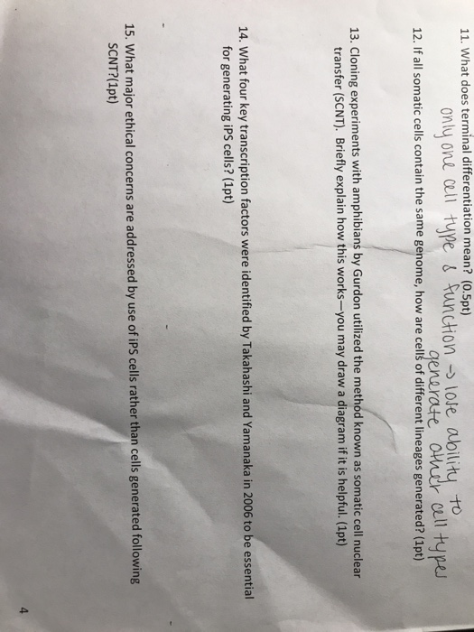 solved-11-what-does-terminal-differentiation-mean-0-5pt-chegg