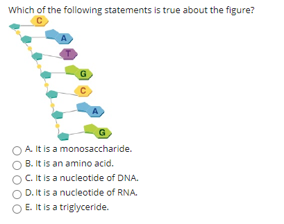 Solved Which of the following statements is true about the | Chegg.com
