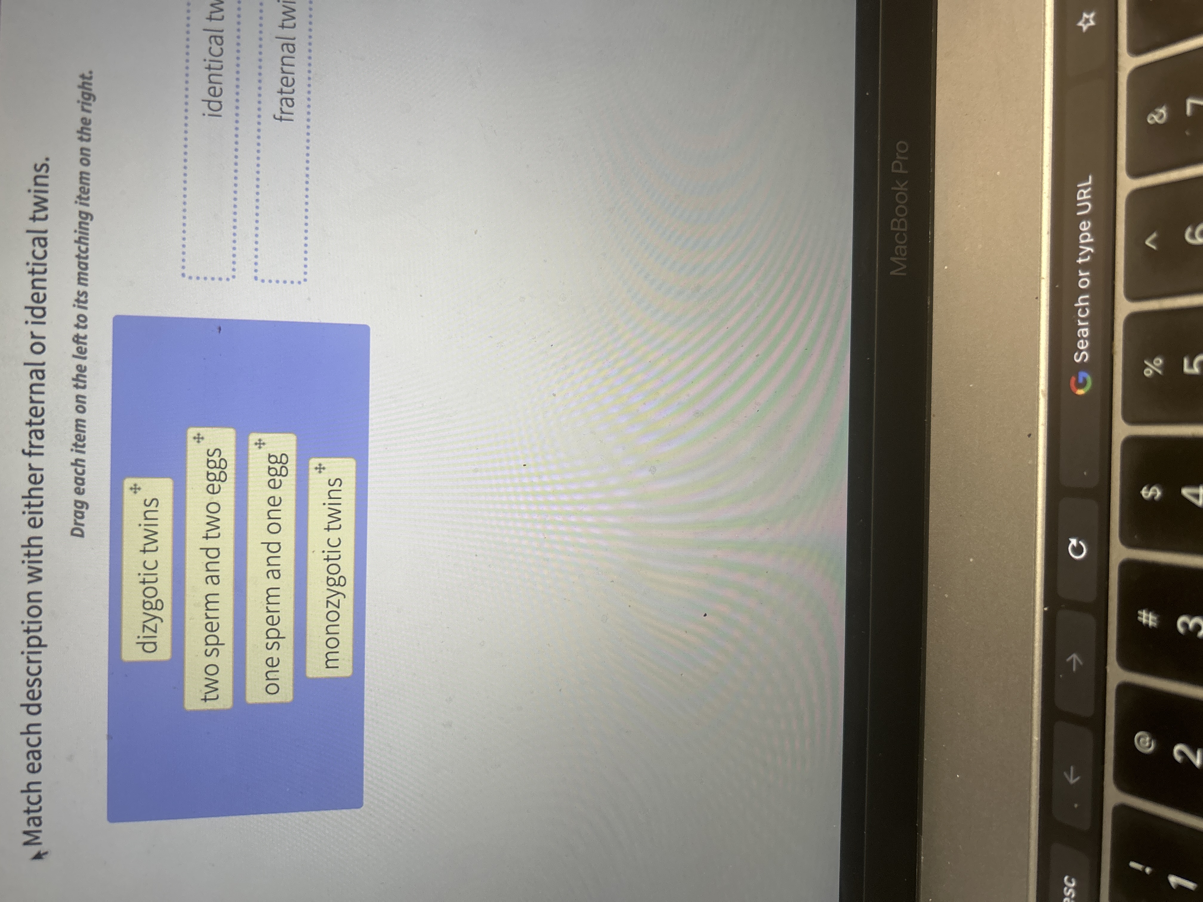 Solved Match each description with either fraternal or | Chegg.com