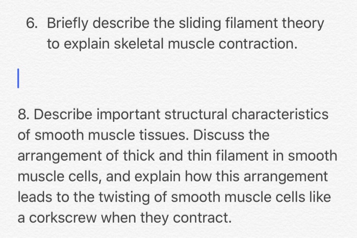 What Is The Sliding Filament Theory Explain - cloudshareinfo
