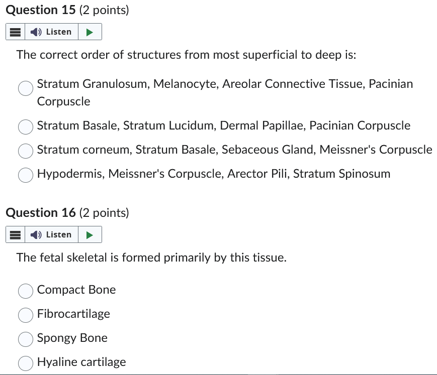 Solved The correct order of structures from most superficial | Chegg.com