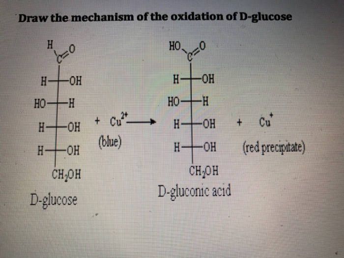 solved-draw-the-mechanism-of-the-oxidation-of-d-glucose-chegg