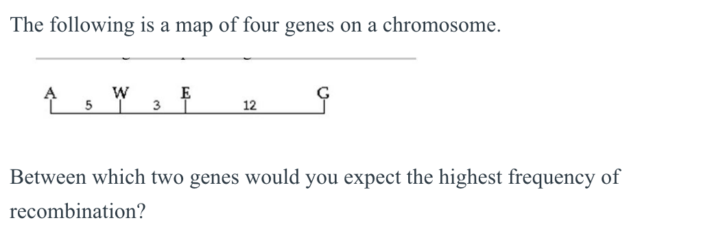 1 2 A Woman Who Has Blood Type A Positive Has A Chegg Com