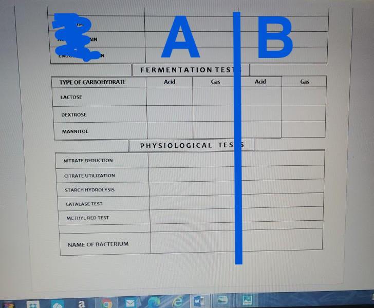 Solved SECOND UNKNOWN TEST Identify specimen A & B