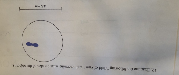 Solved 12. Examine the following 