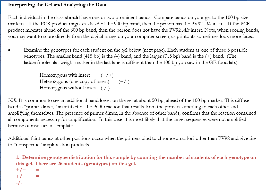 Interpreting the Gel and Analyzing the Data Each | Chegg.com