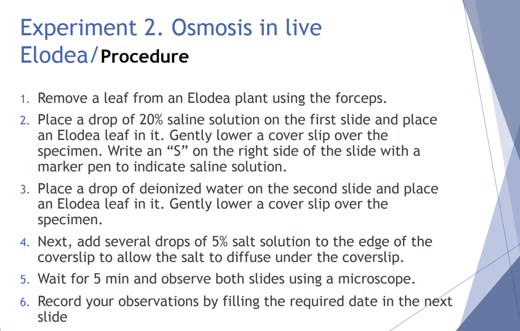 Solved Experiment 2. Osmosis in live Elodea/Procedure 1.