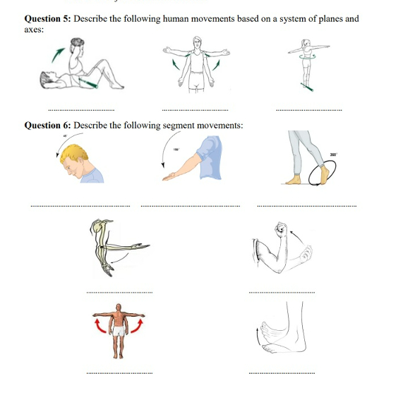 Solved Question 5: Describe the following human movements | Chegg.com