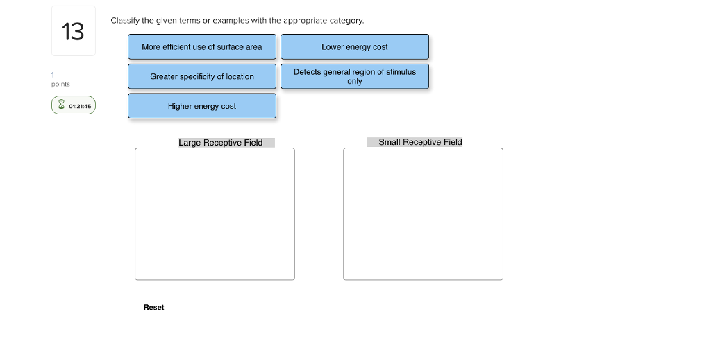 Solved: Classify The Given Terms Or Exam Ples With The App... | Chegg.com