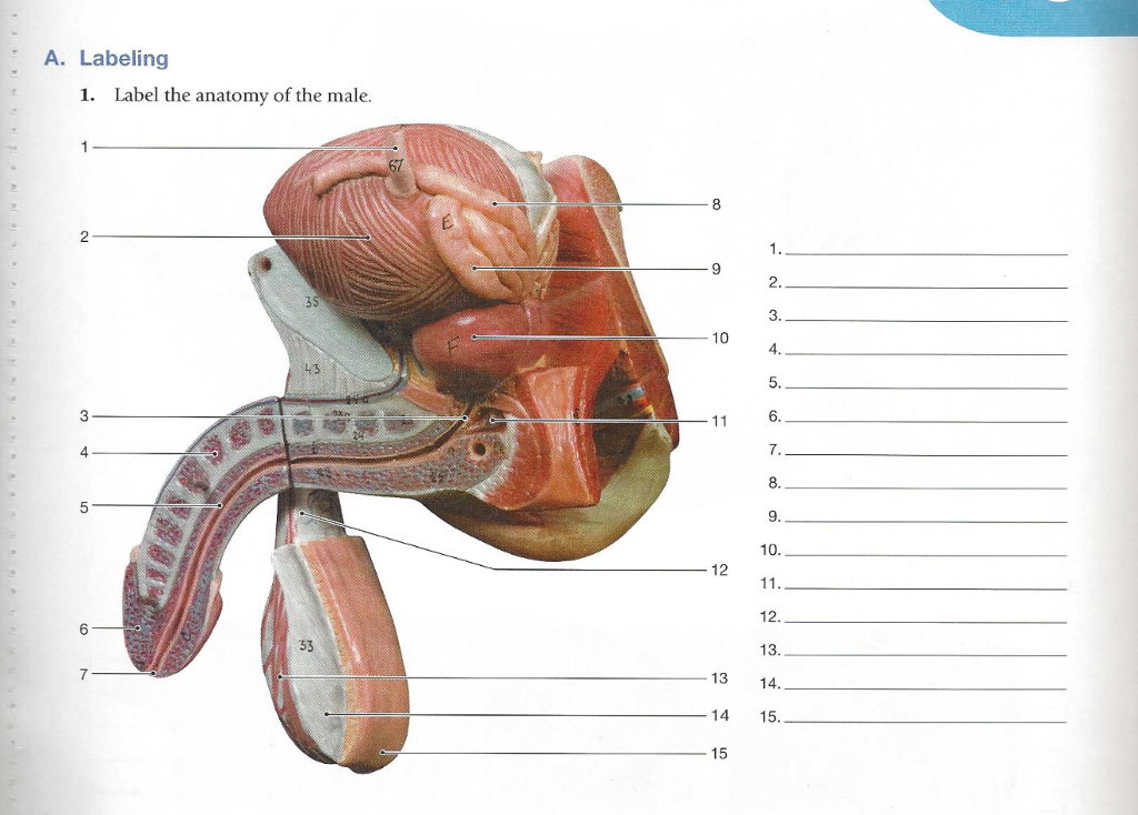 assignment quick check labeling 2 3