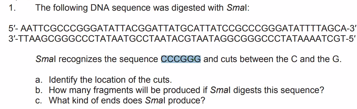 Solved 1. The following DNA sequence was digested with Smal: | Chegg.com