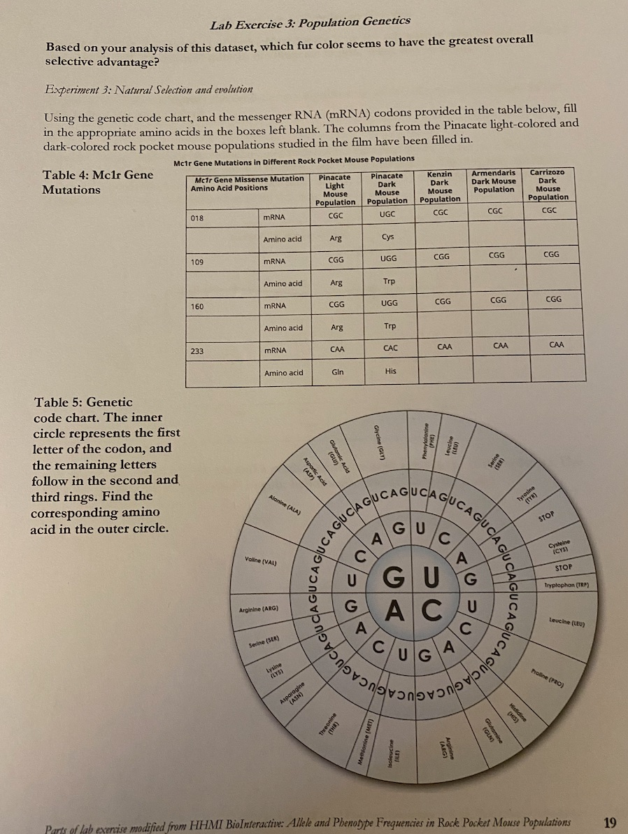 Based On The Amino Acid Data Table That You Filled Chegg Com
