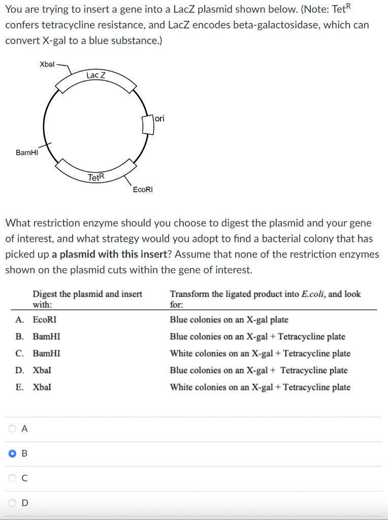 Solved You are trying to insert a gene into a Lacz plasmid | Chegg.com