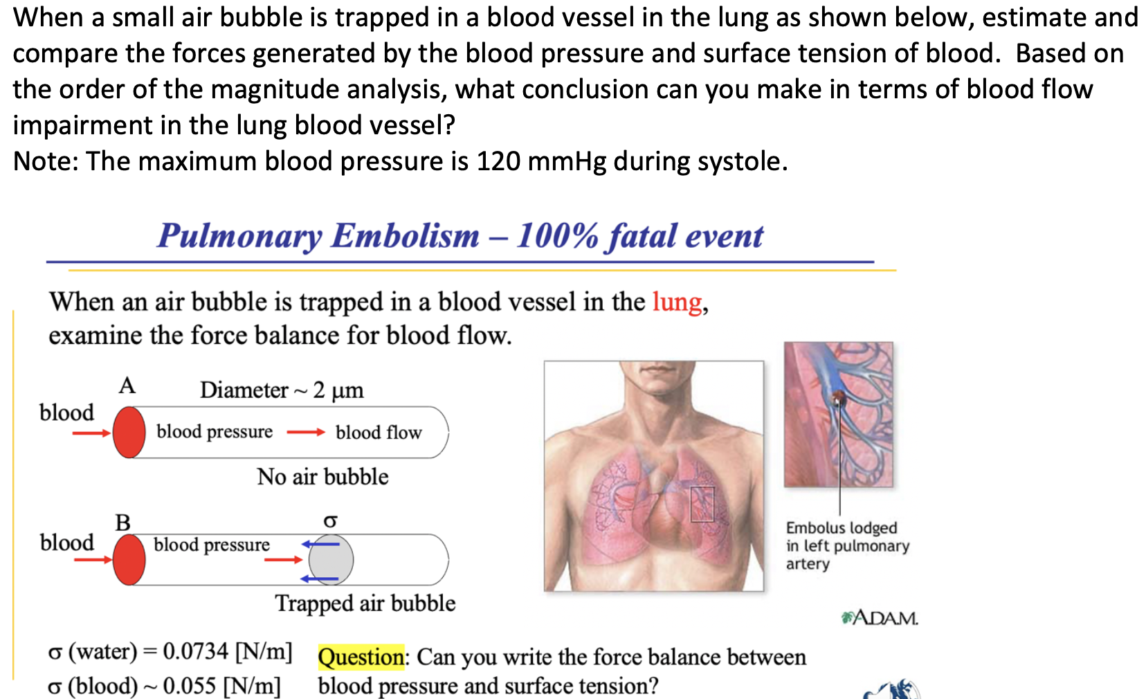Solved When a small air bubble is trapped in a blood vessel | Chegg.com